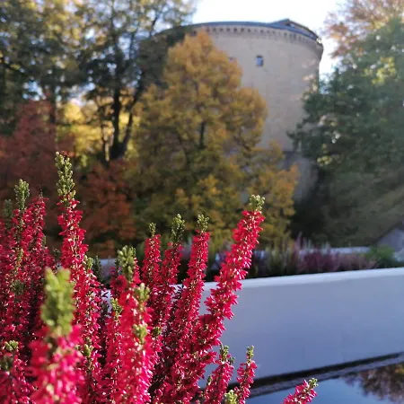 아파트 Serenade Am Zwinger 고슬라르