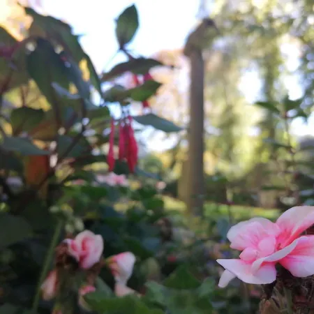 Serenade Am Zwinger 아파트 고슬라르