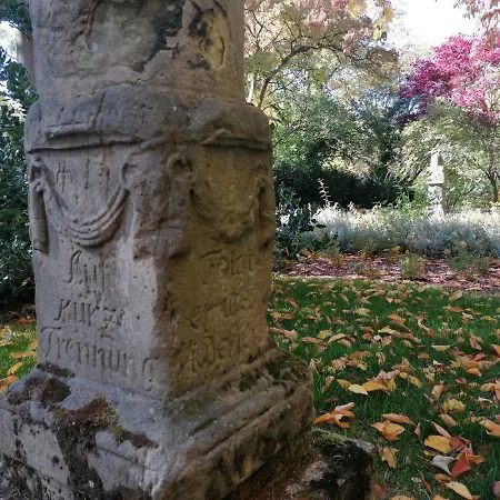 Serenade Am Zwinger 아파트 고슬라르