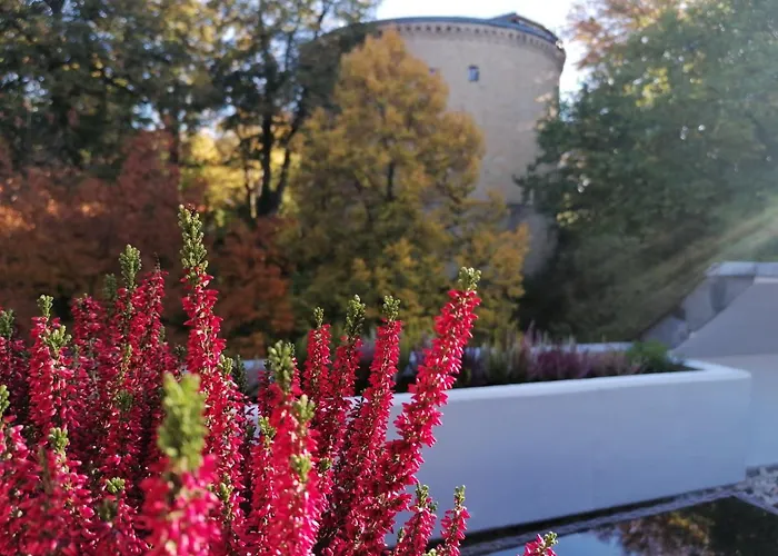 Apartment Serenade Am Zwinger Goslar
